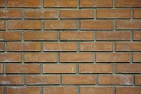 Brick Wall Texture