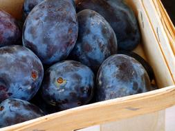 ripe plums in a wooden box