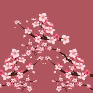 flowers pink background beautifully