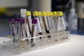 Blood Laboratory