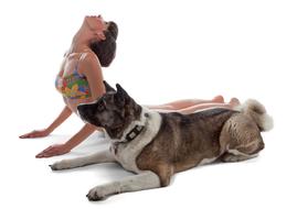 dog and girl doing yoga