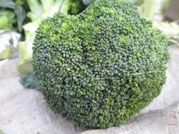 Close up of a green broccoli