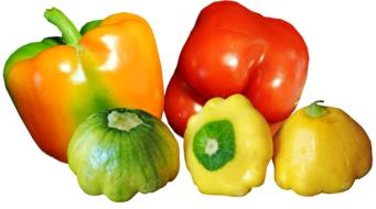 Refreshing vegetables on a background of white