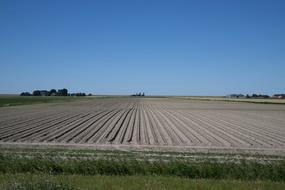 footprints in a farmer field