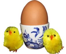 fluffy chicks with an egg