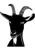 goat farm animal farmhouse