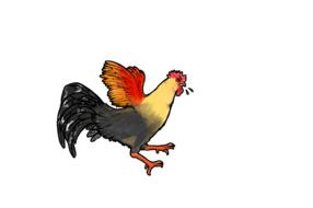 colored rooster drawing
