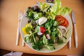 plate of vegetable salad