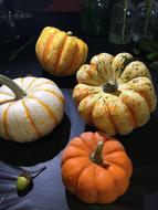 Colorful healthy pumpkins
