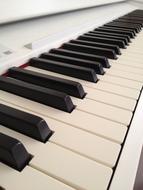 Piano Keyboards White black