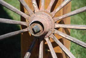 Wagon Wheel Old Antique
