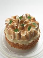 beautiful creamy dessert