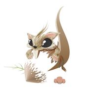 squirrel animal hazelnut cute