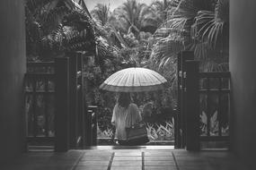 Adult with umbrella at Street