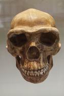 Skull Bones scary