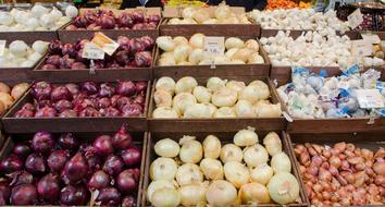 market with delicious vegetables