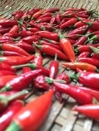hot red peppers on the table