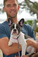 French Bulldog Pet Breed