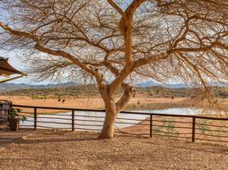 Africa Lodge Safari