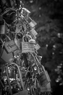 monochrome photo of Outdoors locks