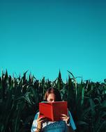 a girl reading a book in a grain field