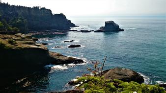Ocean Rock