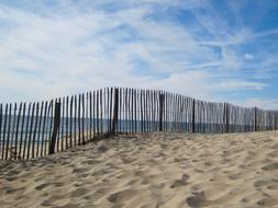 Summer Beach Sea