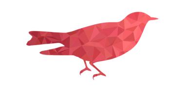 3d bird low poly animal