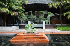 Garden Pool Tree