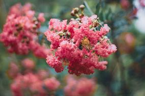 Married Young Christian