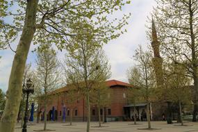 Cami Minaret Tree