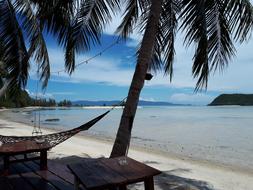 Beach Strand Relax