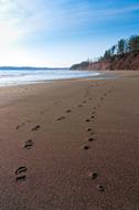 Beach Landscape Nature