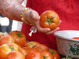 fresh tomatoes in hand