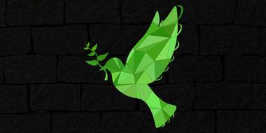 green pigeon peace sign