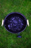 purple logs on the grass