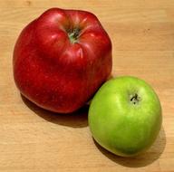 colored fruit on the table