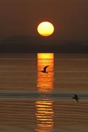 Sunset Sun Sky