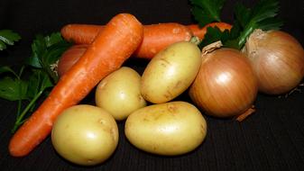 pureed fresh vegetables
