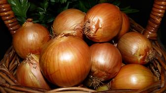 onions not peeled in the kozrinka