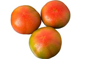 ripe tomatoes in a drop of water