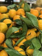 delicious lemons in leaves