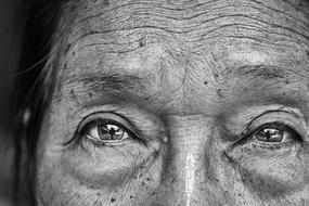 monochrome Portrait Face eyes
