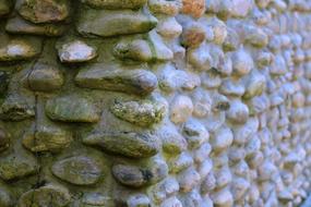 Desktop Pattern Nature