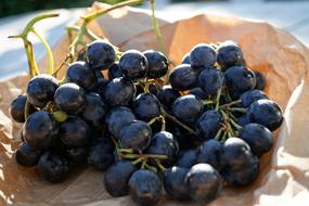 fresh delicious grapes in a plate