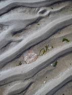 Background Sea