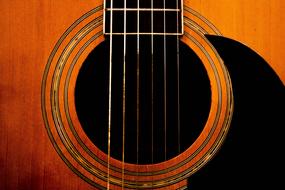 guitar strings detail