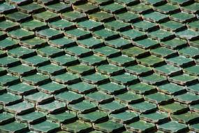 Roof Tenerife Loropark