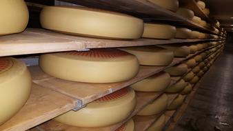 Cheese heads on the shelf