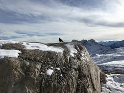 Rock Snow Zugspitze
